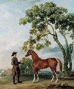 George Stubbs Lord Grosvenor's Arabian Stallion with a Groom Spain oil painting artist